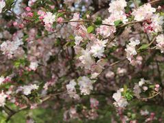 -元大都城垣遗址公园