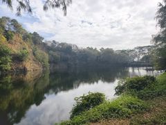 -王借岗森林公园
