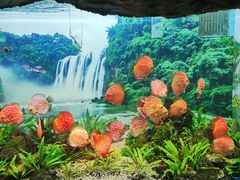 -多彩贵州城极地海洋世界