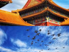 -故宫博物院(故宫)