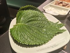 -梨花甄选自助烤肉(小寨原力场店)
