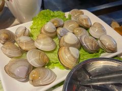 增鲜白蛤-海煮叹鲜·粥底火锅·港式海鲜打边炉(赛银国际广场店)
