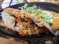 -宇安泰料(龙湖天街黑金店)