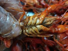 -隆康社长沙烧烤铺(桔园店)