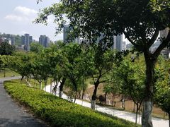 -沐仙湖湿地公园