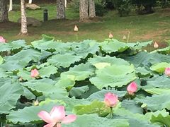 -白塘生态植物园