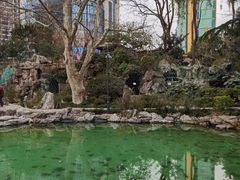 -静安公园(静安寺街道)