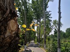 -东郊湿地公园