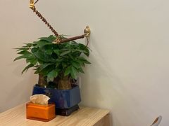 -Jeans Coffee牛仔裤咖啡