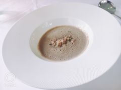 牛肝菌蘑菇-蝶舍·MAISON PAPILLON