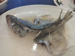 -顺风山庄(水濂山店)