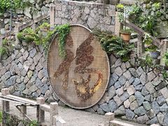 -林坑古村落