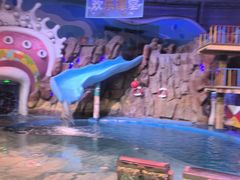 -烟台海昌鲸鲨海洋公园