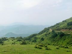 -大姆山草场