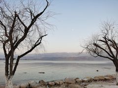 -西昌邛海湾柏樾酒店(原邛海湾柏栎度假酒店)