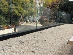 -J Create城市露营咖啡·简餐·宠物(上海动物园店)