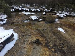 -黄龙山原始森林景区