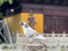 -重元寺