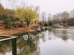 -前关湿地公园