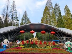 -东平国家森林公园