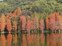 -广州市白云山风景名胜区
