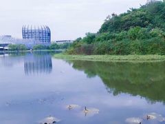 -东华大学(松江校区)