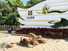 -西双版纳原始森林公园