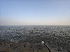 -东堤公园