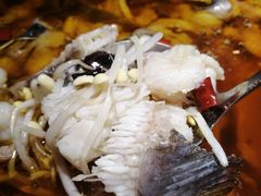 -雲蜀龙阁·金牌水煮鱼(方庄店)