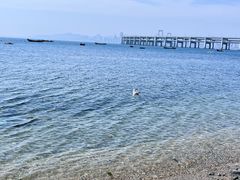 -银沙滩浴场