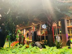 -奇幻丛林(佛罗伦萨小镇店)