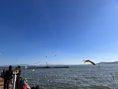 -滇池海埂公园