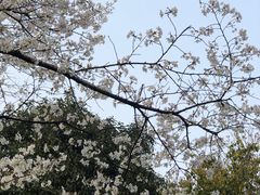 -中国茶叶博物馆(双峰馆区)