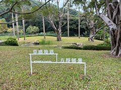 -云溪植物园