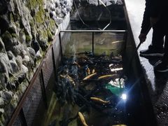 -京北渔家傲