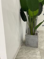 -D.z Salon 无痕接发潮店