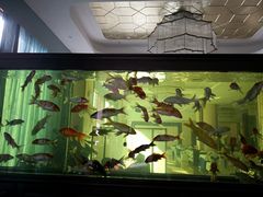 -玉雪春天(中正花园店)