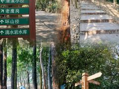 -滴水岩森林公园