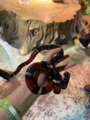 -酷嗒动物文化乐园(cutezoo西溪乐天城店)