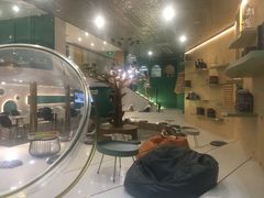-飞行喵MR PILOT|猫舍·猫咖(静安大融城店)