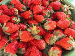 -侬佳蒸菜馆(听潮店)