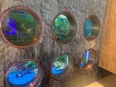 -辉哥火锅(虹桥路店)