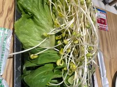 -锅里锅外地锅鸡