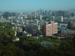 -福道