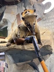 -Zoolung Zoolung动物主题公园(海信广场店)