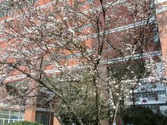 -南京特殊教育师范学院(燕子矶校区)