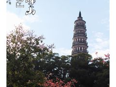 -顺峰山公园