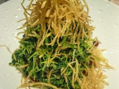 巧拌豆苗-福海居烤鸭店(鸟巢店)