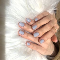 -BELLAREAL新美社
