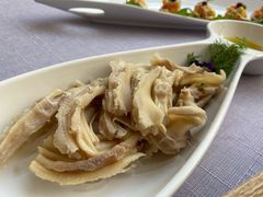 -梧桐